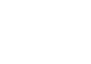 Autonet logo