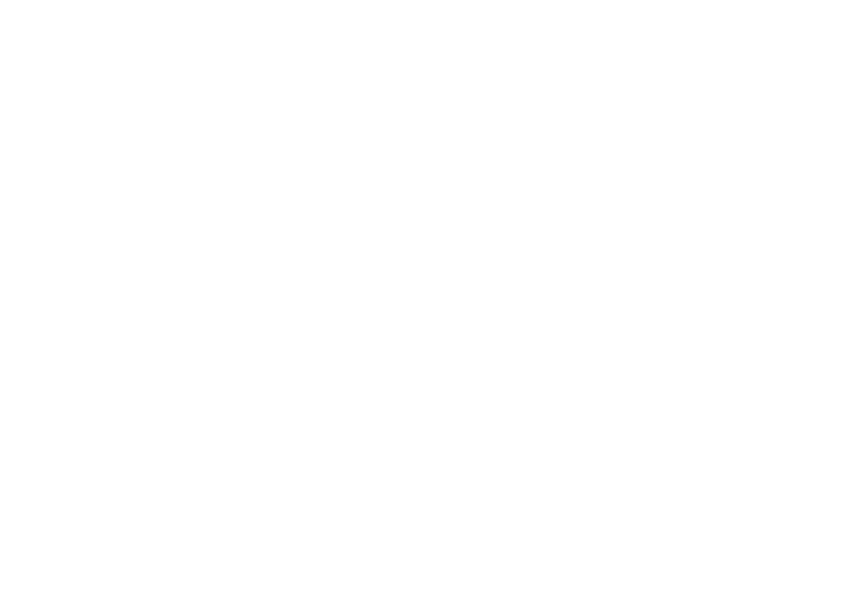 Autonet logo